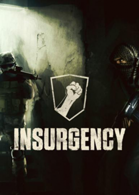 Insurgency