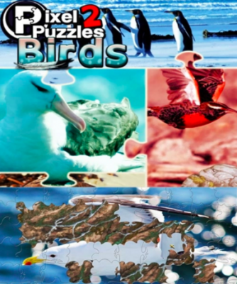 Pixel Puzzles 2: Birds (Steam)