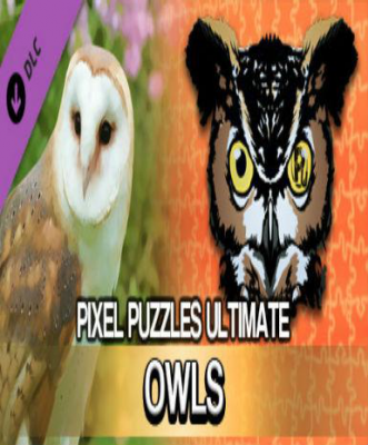 Pixel Puzzles Ultimat - Puzzle Pack: Owls (DLC)