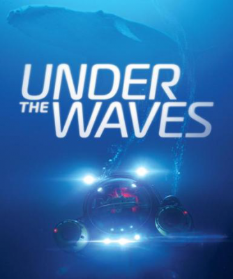 Under The Waves (Steam)